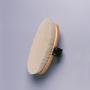 bodybrushesforhorses_horse grooming accessories_saddlery.jpg