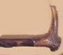 hornhandledwalkingsticks_walking sticks.jpg