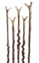 Horn Handled Walking Sticks