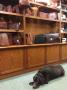 Handbags, briefcases, wallets, purses, credit card holders - anything made of leather