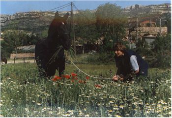 Jo and friend enjoying a sweet Spanish summer meadow