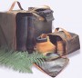 adult wellington boot bag wb