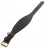 English Leather Greyhound Collar
