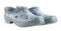 Hunter RHS Gardening Clog Thistle and Forget-Me-Not design W23603 FORGET