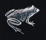 pewter frog badge
