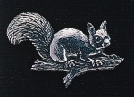 pewter squirrel badge