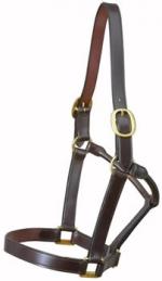 Headcollars for Horses