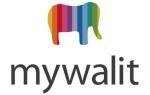 MyWalit Handbags