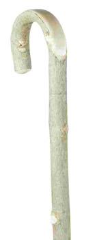 Ash Crook Walking Stick with Polished Handle