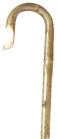 Ash Shepherd's Crook