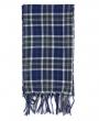 Barbour Ingleton Tartan Scarf USC0320