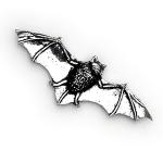 In Stock:
Yes
Bat pewter badge A34