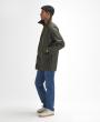 Archive Olive