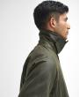 Archive Olive