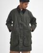 Archive Olive