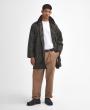 Archive Olive