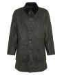 Archive Olive