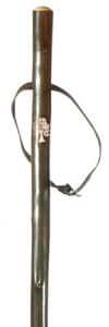 Chestnut Hiking Staff with Carved Oak Tree Design