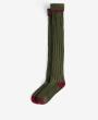 Olive/ Cranberry