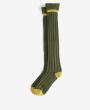 Olive/ Gold