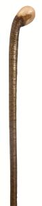 In Stock:
Hazel: 122cm
Hazel Coppice Knobstick Extra Long 1229