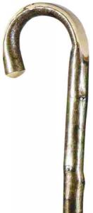 Hazel Crook Walking Stick with Polished Handle