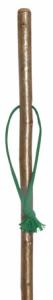 Hazel Hiking Staff with green wrist cord