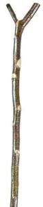 In Stock:
Hazel: None
Hazel Thumbstick short 3545