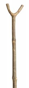 In Stock:
Various: 100cm
Junior Thumbstick
