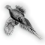 In Stock:
Yes
Large Pheasant B4