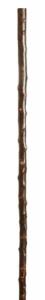 In Stock:
Blackthorn: None
Long blackthorn fit-up for walking sticks