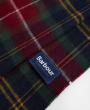 Winterberry Tartan