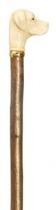 In Stock:
Hazel: Long
Mock Ivory Labrador Handled Walking Stick with long shaft