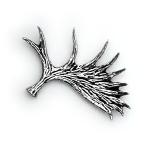 In Stock:
Yes
Moose Antler A57
