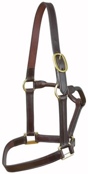 Brown One Buckle Leather Headcollar by E. Jeffries