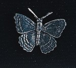 pewter butterfly badge