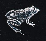 In Stock:
Yes
pewter frog badge