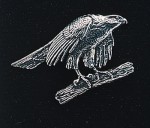 pewter goshawk badge