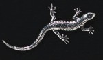 In Stock:
Yes
pewter lizard badge
