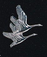 pewter swans badge