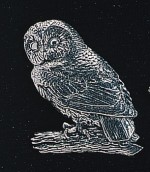 pewter tawny owl badge