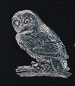 In Stock:
Yes
pewter tawny owl badge