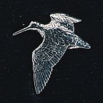 In Stock:
Yes
pewter woodcock badge