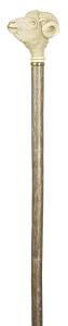 Ram's Head Handled Walking Stick with Long Shaft 4052