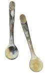 Salt or Spice Spoon