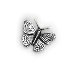 In Stock:
Yes
Small Butterfly C2