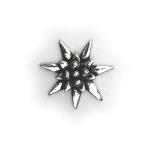 In Stock:
Yes
Small Edelweiss C21