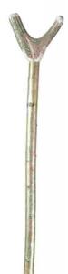 In Stock:
Hazel: 135cm
Staghorn Thumbstick on hazel shaft