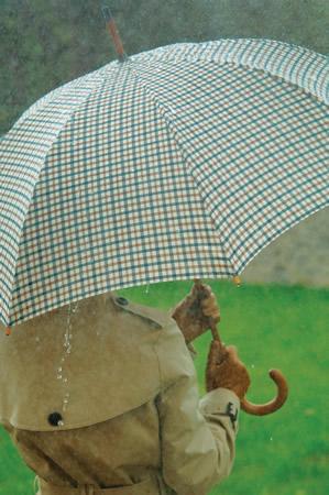 Tartan Wooden Crook Umbrella
