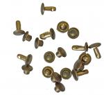 Tubular Rivet 10 Pack with 6.5mm head diameter COXTR9